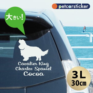  XebJ[ y LoALO`[YXpjG zy3Lz 킢 Vv J[XebJ[ JbeBOV[g ObY v[g  I[_[Ch O V[  