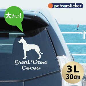 y }\ P5{ z XebJ[ y O[gf zy3Lz 킢 Vv J[XebJ[ JbeBOV[g ObY v[g  I[_[Ch O V[  ]