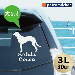  XebJ[ y T[L zy3Lz 킢 Vv J[XebJ[ JbeBOV[g ObY v[g  I[_[Ch O V[  ]ʎ 