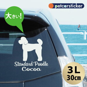  XebJ[ y X^_[hv[h efBxAJbg zy3Lz 킢 Vv J[XebJ[ JbeBOV[g ObY v[g  I[_[Ch O V[  