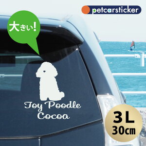 y }\ P5{ z XebJ[ y gCv[h  zy3Lz 킢 Vv J[XebJ[ JbeBOV[g ObY v[g  I[_[Ch O V[ 