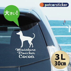  XebJ[ y ~j`AsV[ zy3Lz 킢 Vv J[XebJ[ JbeBOV[g ObY v[g  I[_[Ch O V[  ]ʎ 