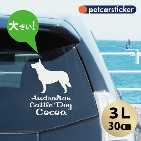 【 ギフトに 】 車 ステッカー 【 オーストラリアンキャトルドッグ 】【3Lサイズ】 かわいい シンプル カーステッカー カッティングシート グッズ プレゼント おしゃれ オーダーメイド 名前 シール 可愛い 転写式 犬