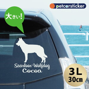  XebJ[ y T[[XEthbO zy3Lz 킢 Vv J[XebJ[ JbeBOV[g ObY v[g  I[_[Ch O V[  ]ʎ 