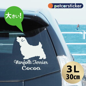  XebJ[ y m[tH[NeA zy3Lz 킢 Vv J[XebJ[ JbeBOV[g ObY v[g  I[_[Ch O V[  ]ʎ 