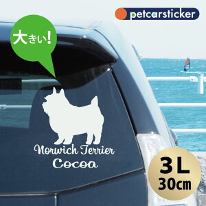 y BLACK FRIDAY P5{ z  XebJ[ y m[b`eA zy3Lz 킢 Vv J[XebJ[ JbeBOV[g ObY v[g  I[_[Ch O V[  