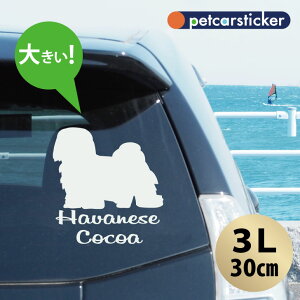  XebJ[ y noj[Y zy3Lz 킢 Vv J[XebJ[ JbeBOV[g ObY v[g  I[_[Ch O V[  ]ʎ 