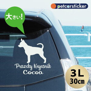  XebJ[ y vVXL[NTW[N zy3Lz 킢 Vv J[XebJ[ JbeBOV[g ObY v[g  I[_[Ch O V[  ]ʎ 