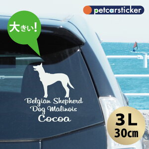  XebJ[ y xWAVFp[hhbO}mA zy3Lz 킢 Vv J[XebJ[ JbeBOV[g ObY v[g  I[_[Ch O V[  ]