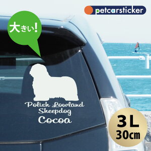  XebJ[ y |bV[hV[vhbO zy3Lz 킢 Vv J[XebJ[ JbeBOV[g ObY v[g  I[_[Ch O V[  ]