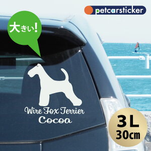  XebJ[ y CA[tHbNXeA zy3Lz 킢 Vv J[XebJ[ JbeBOV[g ObY v[g  I[_[Ch O V[  ]ʎ 