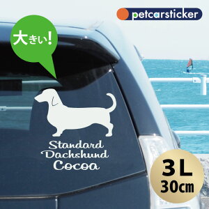  XebJ[ y X^_[h_bNXth zy3Lz 킢 Vv J[XebJ[ JbeBOV[g ObY v[g  I[_[Ch O V[  ]ʎ 