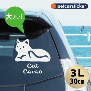  XebJ[ y xݔL zy3Lz 킢 Vv J[XebJ[ JbeBOV[g ObY v[g  I[_[Ch O V[  ]ʎ L