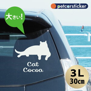  XebJ[ y L zy3Lz 킢 Vv J[XebJ[ JbeBOV[g ObY v[g  I[_[Ch O V[  ]ʎ L