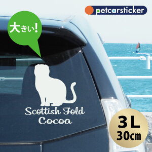  XebJ[ y XReBbVtH[h zy3Lz 킢 Vv J[XebJ[ JbeBOV[g ObY v[g  I[_[Ch O V[  ]ʎ L