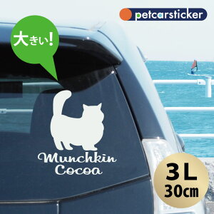 y X[p[SALEԒ P10{ z  XebJ[ y }`J@OwA zy3Lz 킢 Vv J[XebJ[ JbeBOV[g ObY v[g  I[_[Ch O 