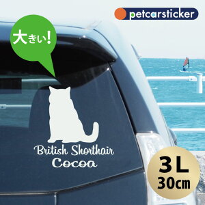 y BLACK FRIDAY P5{ z  XebJ[ y ueBbVV[gwA zy3Lz 킢 Vv J[XebJ[ JbeBOV[g ObY v[g  I[_[Ch O V[