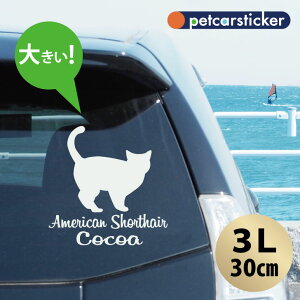  XebJ[ y AJV[gwA zy3Lz 킢 Vv J[XebJ[ JbeBOV[g ObY v[g  I[_[Ch O V[  ]ʎ L