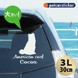  XebJ[ y AJJ[ zy3Lz 킢 Vv J[XebJ[ JbeBOV[g ObY v[g  I[_[Ch O V[  ]ʎ L