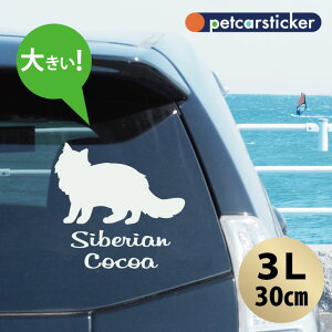 y BLACK FRIDAY P5{ z  XebJ[ y TCxA zy3Lz 킢 Vv J[XebJ[ JbeBOV[g ObY v[g  I[_[Ch O V[  ]