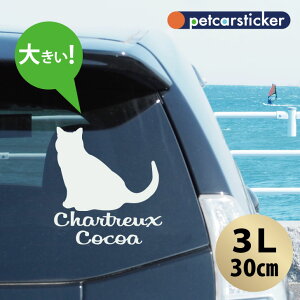 y BLACK FRIDAY P5{ z  XebJ[ y Vg[ zy3Lz 킢 Vv J[XebJ[ JbeBOV[g ObY v[g  I[_[Ch O V[  ]