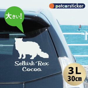  XebJ[ y ZJ[NbNX zy3Lz 킢 Vv J[XebJ[ JbeBOV[g ObY v[g  I[_[Ch O V[  ]ʎ L