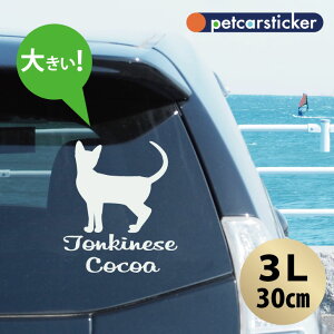  XebJ[ y gLj[Y zy3Lz 킢 Vv J[XebJ[ JbeBOV[g ObY v[g  I[_[Ch O V[  ]ʎ L