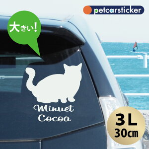  XebJ[ y ~kGbg zy3Lz 킢 Vv J[XebJ[ JbeBOV[g ObY v[g  I[_[Ch O V[  ]ʎ L