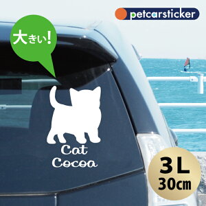 y X[p[SALEԒ P10{ z  XebJ[ y qL zy3Lz 킢 Vv J[XebJ[ JbeBOV[g ObY v[g  I[_[Ch O V[  ]