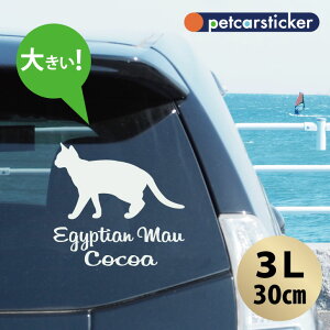  XebJ[ y GWvV}E zy3Lz 킢 Vv J[XebJ[ JbeBOV[g ObY v[g  I[_[Ch O V[  ]ʎ L