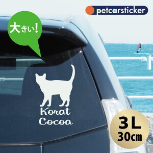 y X[p[SALEԒ P10{ z  XebJ[ y Rbg zy3Lz 킢 Vv J[XebJ[ JbeBOV[g ObY v[g  I[_[Ch O V[  