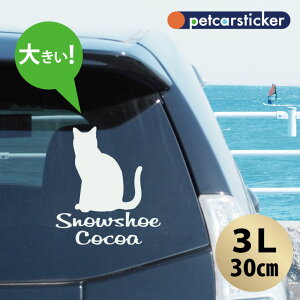 y BLACK FRIDAY P5{ z  XebJ[ y Xm[V[ zy3Lz 킢 Vv J[XebJ[ JbeBOV[g ObY v[g  I[_[Ch O V[  ]