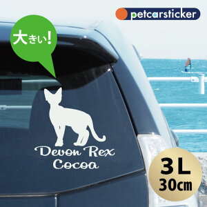  XebJ[ y f{bNX zy3Lz 킢 Vv J[XebJ[ JbeBOV[g ObY v[g  I[_[Ch O V[  ]ʎ L