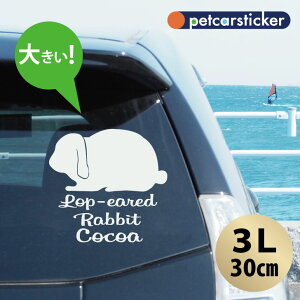  XebJ[ y @bvC[ zy3Lz 킢 Vv J[XebJ[ JbeBOV[g ObY v[g  I[_[Ch O V[  ]ʎ 