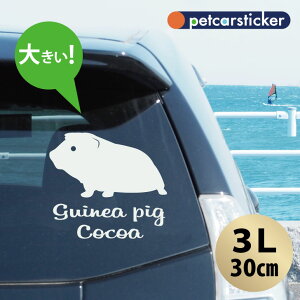 y }\ P5{ z XebJ[ y bg zy3Lz 킢 Vv J[XebJ[ JbeBOV[g ObY v[g  I[_[Ch O V[  ]ʎ 