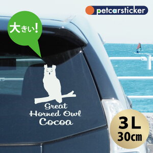  XebJ[ y AJV~~YN zy3Lz 킢 Vv J[XebJ[ JbeBOV[g ObY v[g  I[_[Ch O V[  ]ʎ tNE