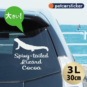 y X[p[SALEԒ P10{ z  XebJ[ y gQIAK} zy3Lz 킢 Vv J[XebJ[ JbeBOV[g ObY v[g  I[_[Ch O V[ 