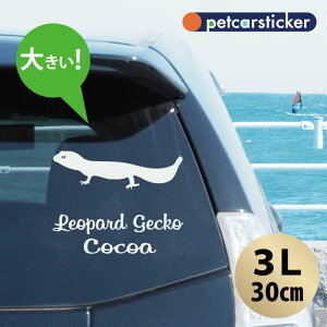 y }\ P5{ z XebJ[ y Ip[hQbR[ zy3Lz 킢 Vv J[XebJ[ JbeBOV[g ObY v[g  I[_[Ch O V[ 