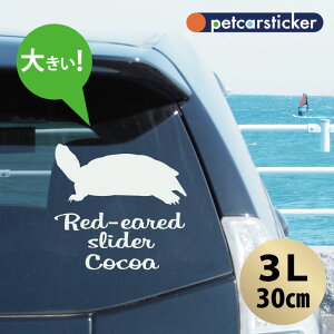 y X[p[SALEԒ P10{ z  XebJ[ y ~hK zy3Lz 킢 Vv J[XebJ[ JbeBOV[g ObY v[g  I[_[Ch O V[ 