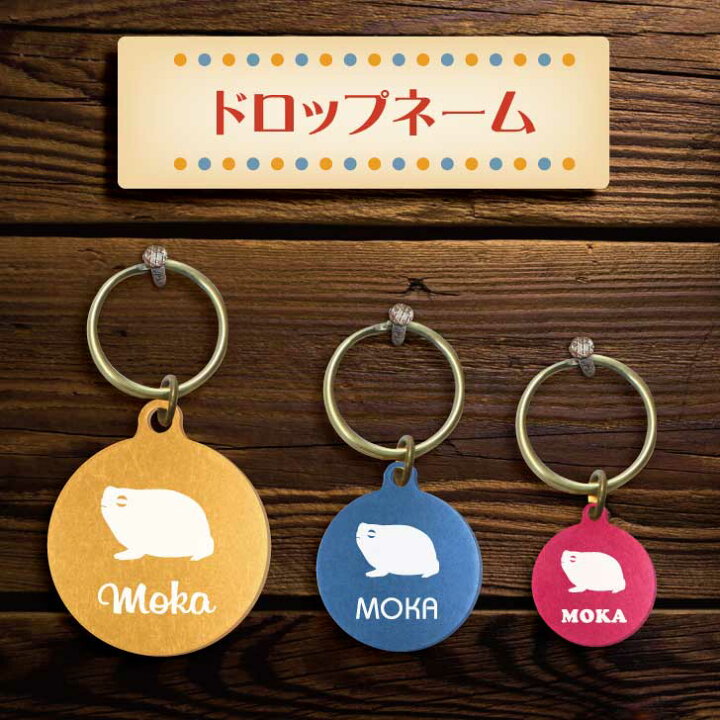 楽天市場 送料無料 迷子札 アメフクラガエル ドロップネーム 名入れ グッズ ペット 名札 軽量 極小 軽い ネームタグ かわいい おしゃれ 首輪 両生類 カエル Mo U Ra