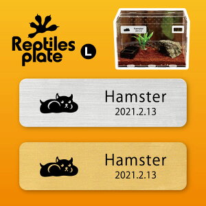 y }\ P5{ zv^CY v[g L y nX^[ zP[W  v^C{bNX p  D l[v[g p_E eE ANAE 