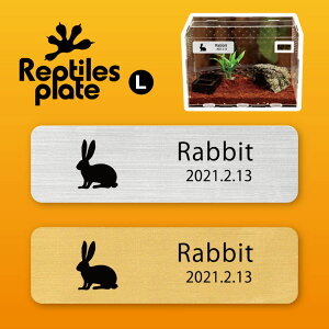 v^CY v[g L y  zP[W  v^C{bNX p  D l[v[g p_E eE ANAE 