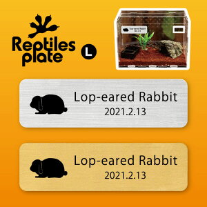 v^CY v[g L y @bvC[ zP[W  v^C{bNX p  D l[v[g p_E eE ANAE 