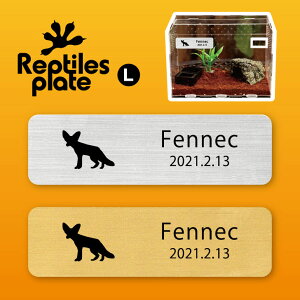 y BLACK FRIDAY P5{ z v^CY v[g L y tFlbN zP[W  v^C{bNX p  D l[v[g p_E eE ANAE 