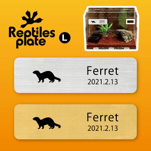 v^CY v[g L y tFbg zP[W  v^C{bNX p  D l[v[g p_E eE ANAE 