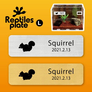 y BLACK FRIDAY P5{ z v^CY v[g L y X zP[W  v^C{bNX p  D l[v[g p_E eE ANAE 