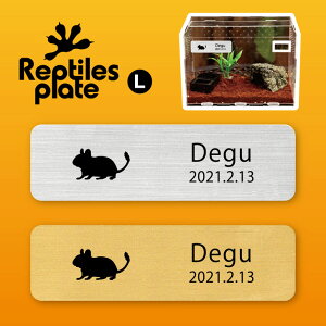 y BLACK FRIDAY P5{ z v^CY v[g L y fO[ zP[W  v^C{bNX p  D l[v[g p_E eE ANAE 