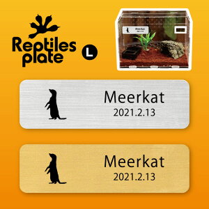 y BLACK FRIDAY P5{ z v^CY v[g L y ~[ALbg zP[W  v^C{bNX p  D l[v[g p_E eE ANAE 