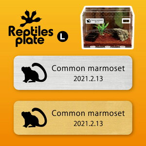 y BLACK FRIDAY P5{ z v^CY v[g L y R}[Zbg zP[W  v^C{bNX p  D l[v[g p_E eE ANAE 