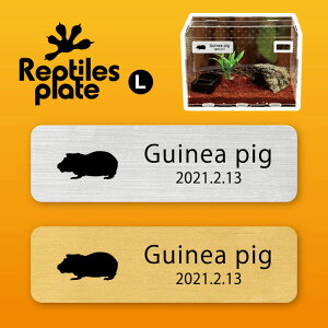 y BLACK FRIDAY P5{ z v^CY v[g L y XLj[MjAsbO zP[W  v^C{bNX p  D l[v[g p_E eE ANAE 